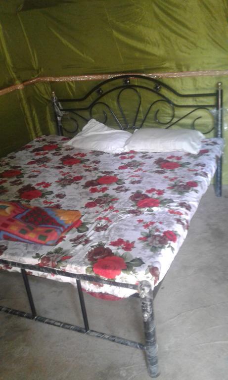 Shanti Guest House Arambol Zewnętrze zdjęcie